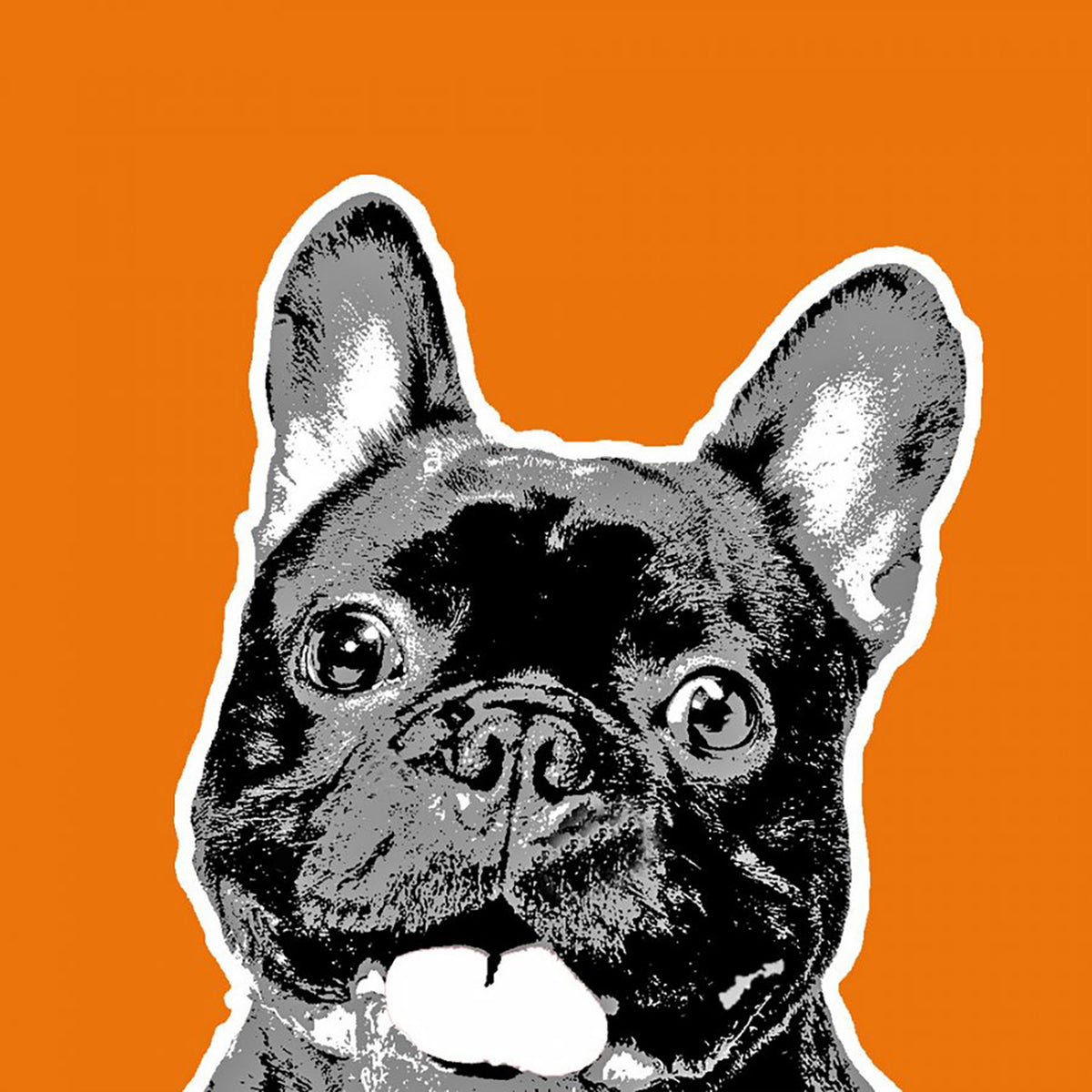 bulldog orang .jpg