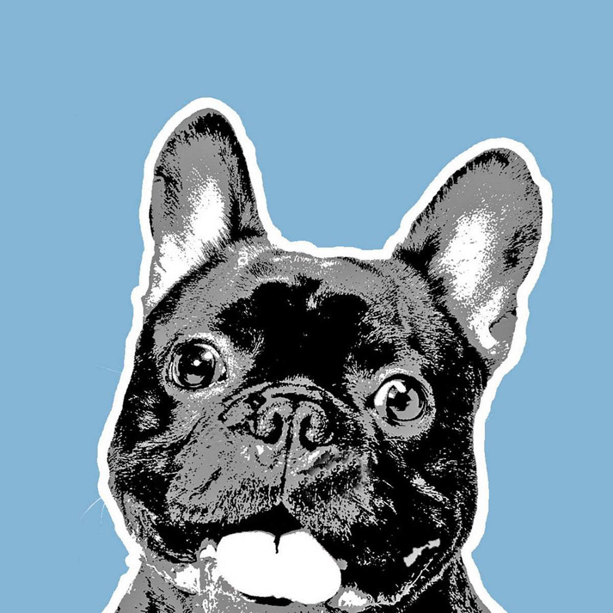 Buldog blå.jpg